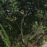 Photo de France - Le Canal du Midi et le tunnel du Malpas